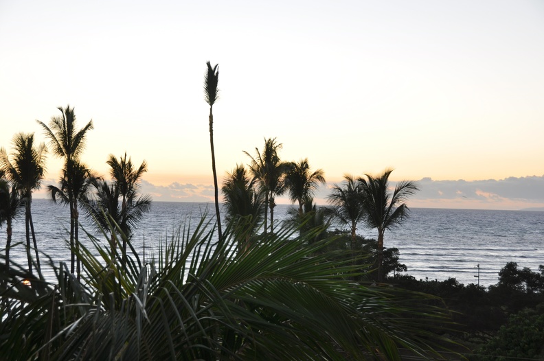 Maui 2012 448