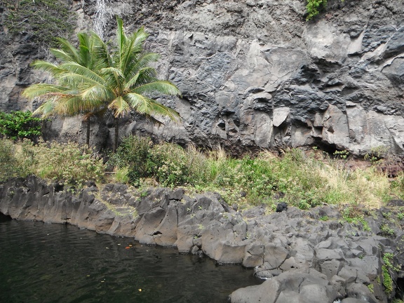Maui 2012 630