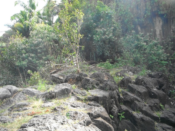 Maui 2012 634