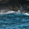 Maui 2012 669