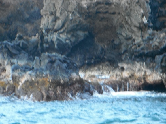Maui 2012 686