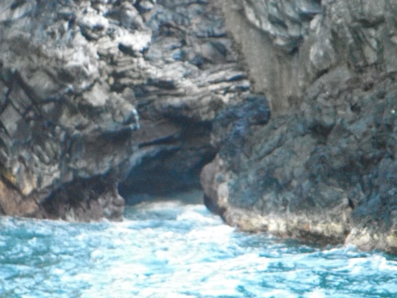 Maui 2012 689