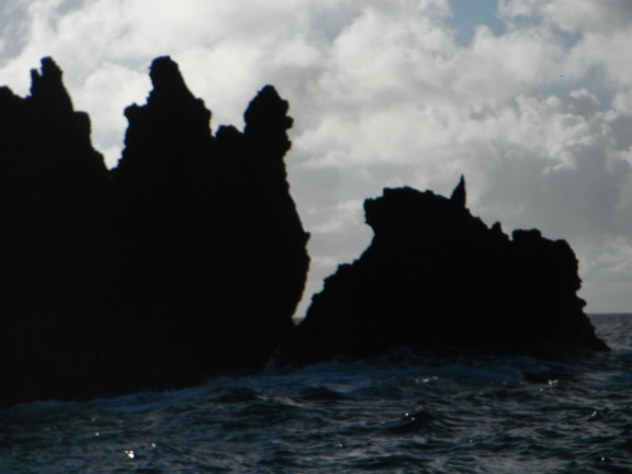 Maui 2012 709