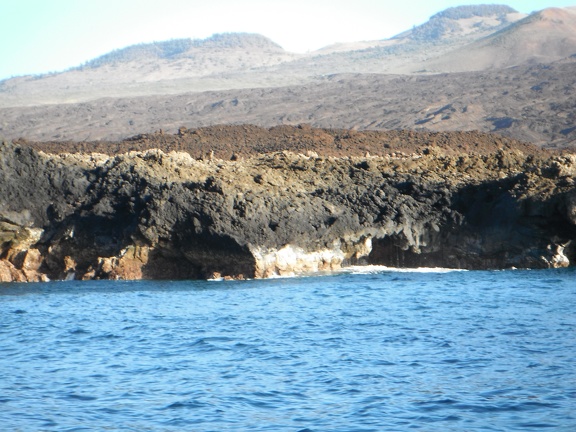 Maui 2012 715