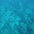 Maui 2012 723