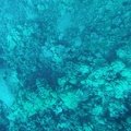 Maui 2012 724