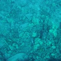 Maui 2012 726