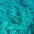 Maui 2012 728