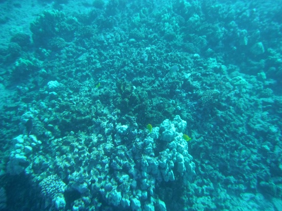 Maui 2012 730
