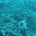 Maui 2012 730