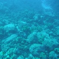 Maui 2012 731