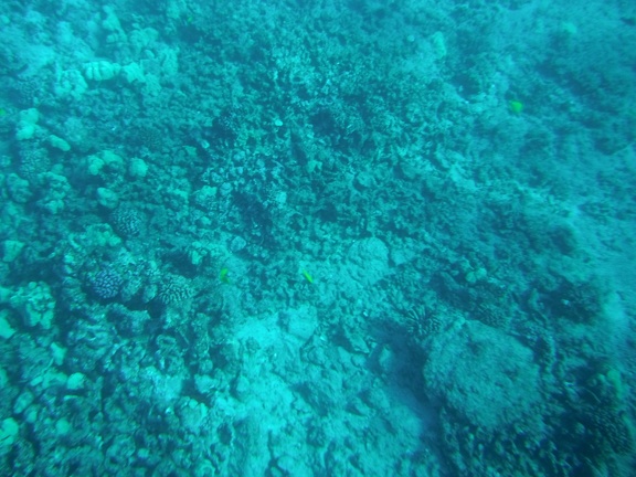 Maui 2012 732