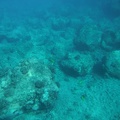Maui 2012 734