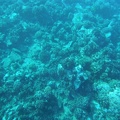 Maui 2012 738