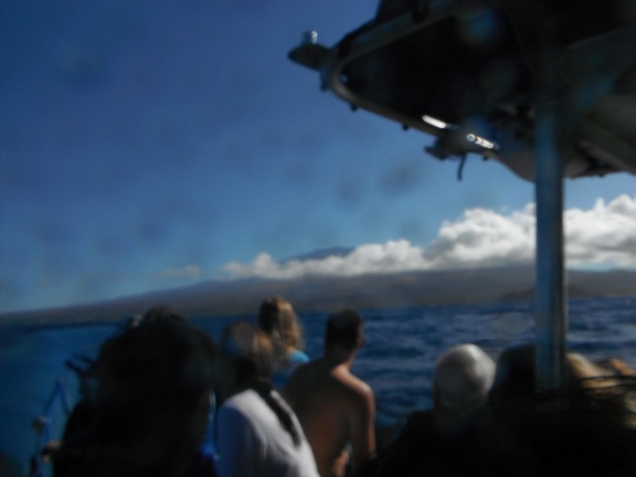 Maui 2012 763