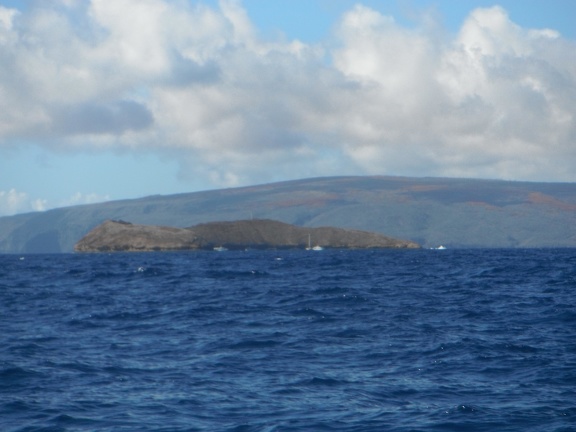 Maui 2012 765