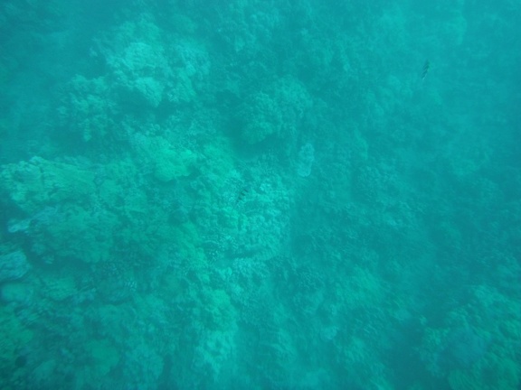Maui 2012 781