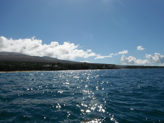 Maui 2012 786