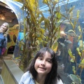 Monterey Bay Aquarium 170