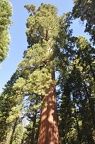 Yosemite 2011 - 086 001