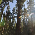 Yosemite 2011 - 088
