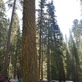 Yosemite 2011 - 090