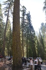 Yosemite 2011 - 090