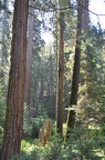 Yosemite 2011 - 097