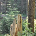 Yosemite 2011 - 099
