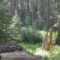 Yosemite 2011 - 100