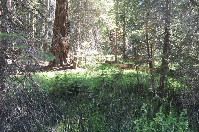 Yosemite 2011 - 105