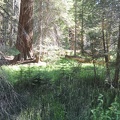 Yosemite 2011 - 105