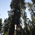 Yosemite 2011 - 111