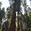 Yosemite 2011 - 112