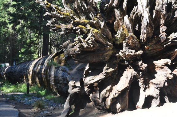 Yosemite 2011 - 113