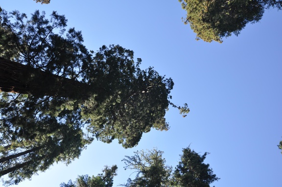 Yosemite 2011 - 114