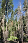 Yosemite 2011 - 115