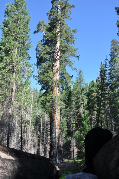 Yosemite 2011 - 117