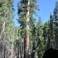 Yosemite 2011 - 118