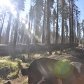 Yosemite 2011 - 120