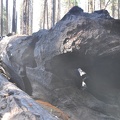 Yosemite 2011 - 122