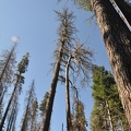 Yosemite 2011 - 123