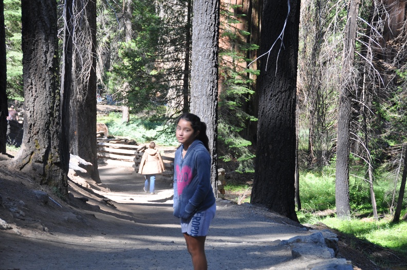 Yosemite 2011 - 124
