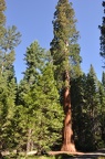 Yosemite 2011 - 126