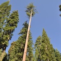 Yosemite 2011 - 133