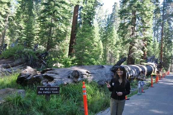 Yosemite 2011 - 136