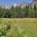 Yosemite 2011 - 179