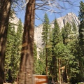 Yosemite 2011 - 184