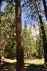 Yosemite 2011 - 185