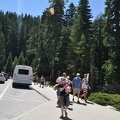 Yosemite 2011 - 249